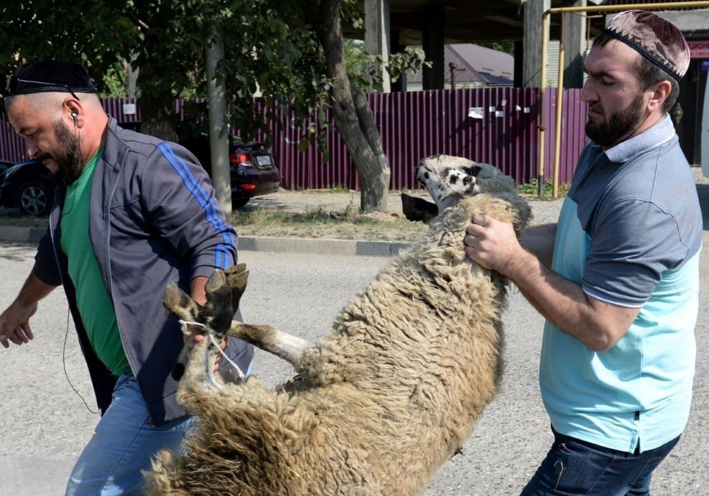 photo_2025-06-04_13-27-57