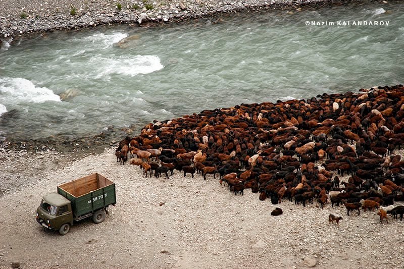 photo_2025-06-10_16-34-07