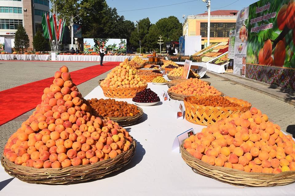 photo_2025-06-19_11-10-37