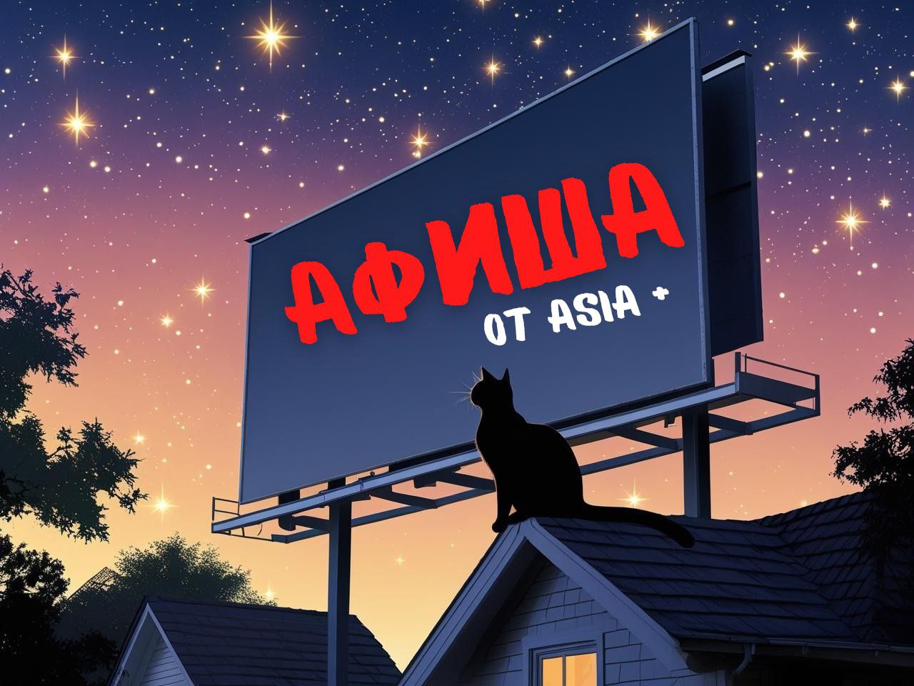 photo_2025-06-19_14-14-31