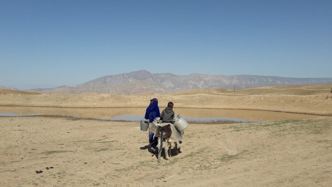 photo_2025-06-24_12-10-05