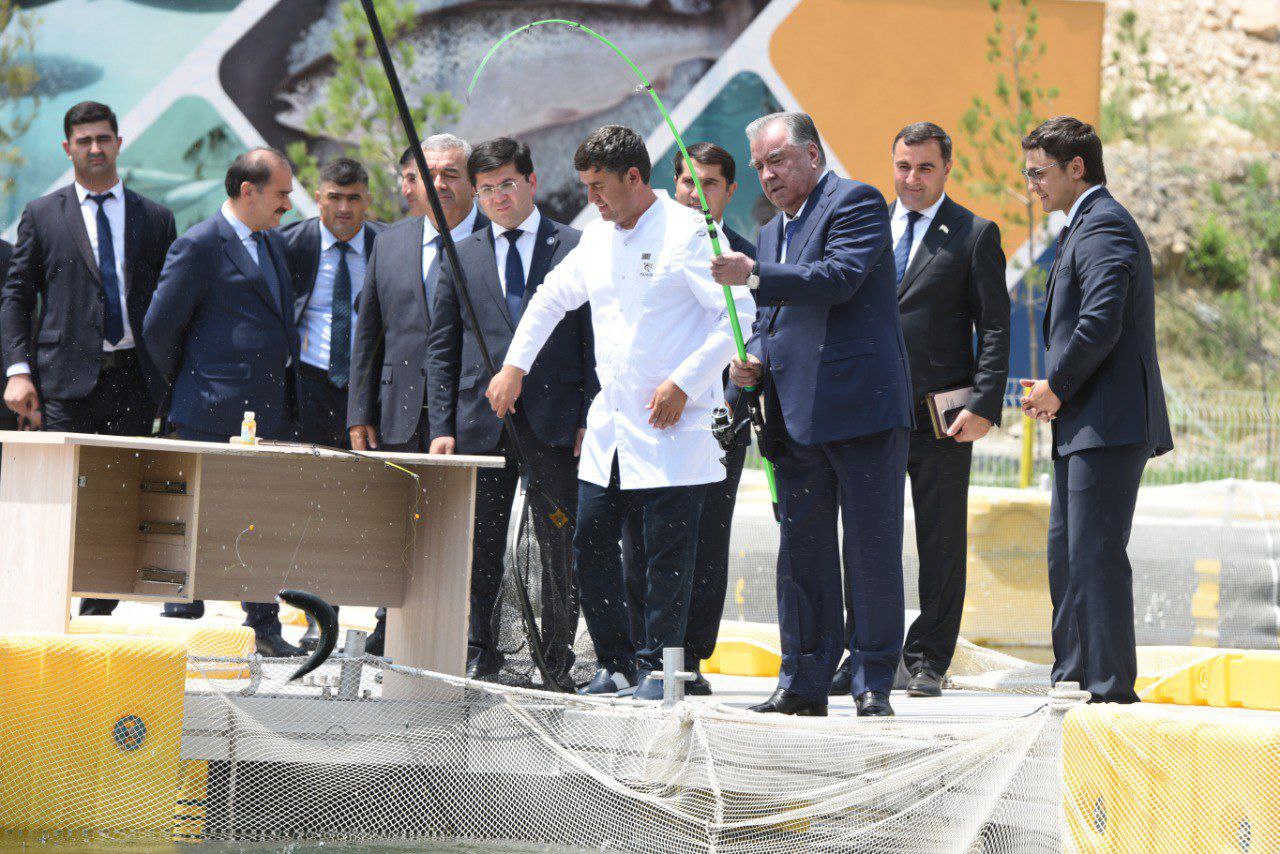 photo_2025-06-26_07-16-18