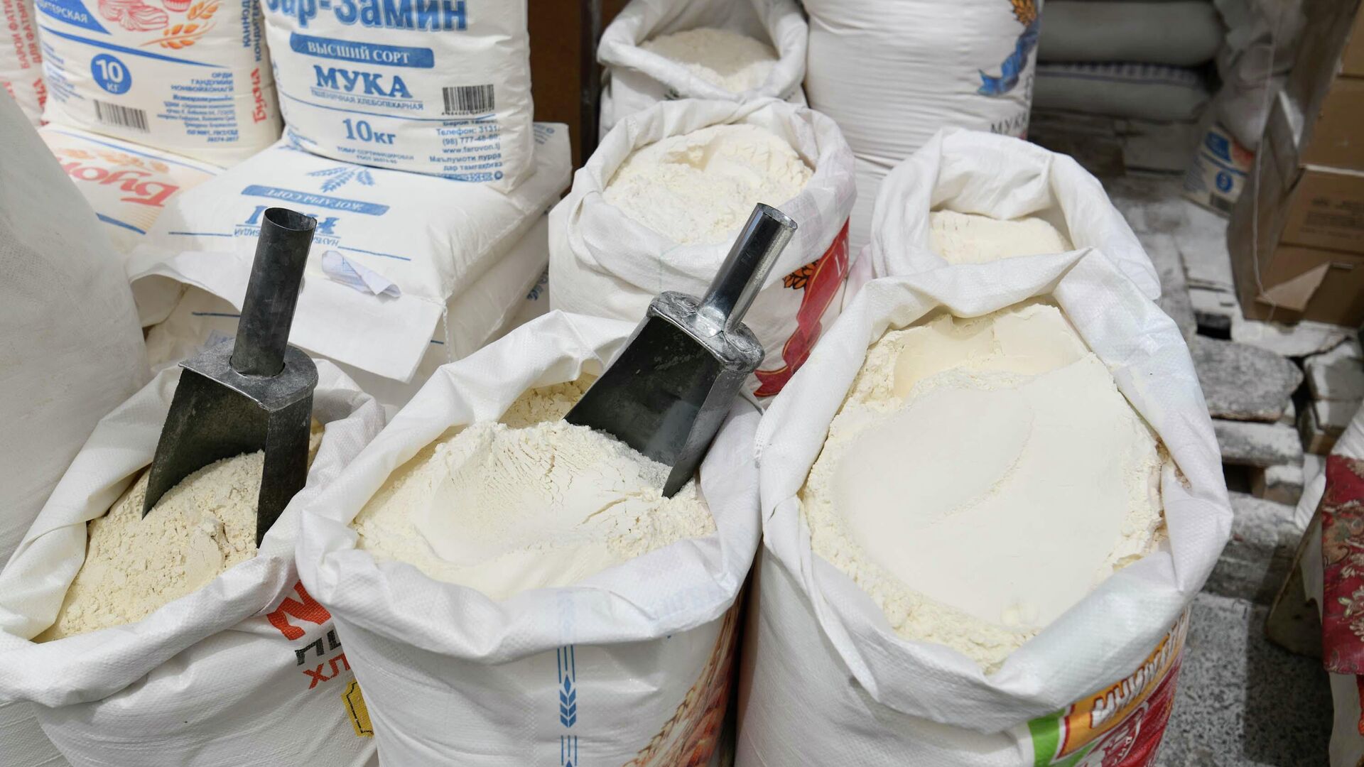 1039138197_0_156_3000_1844_1920x0_80_0_0_b54d788fa0e199bb99e9f5ee75c01f86