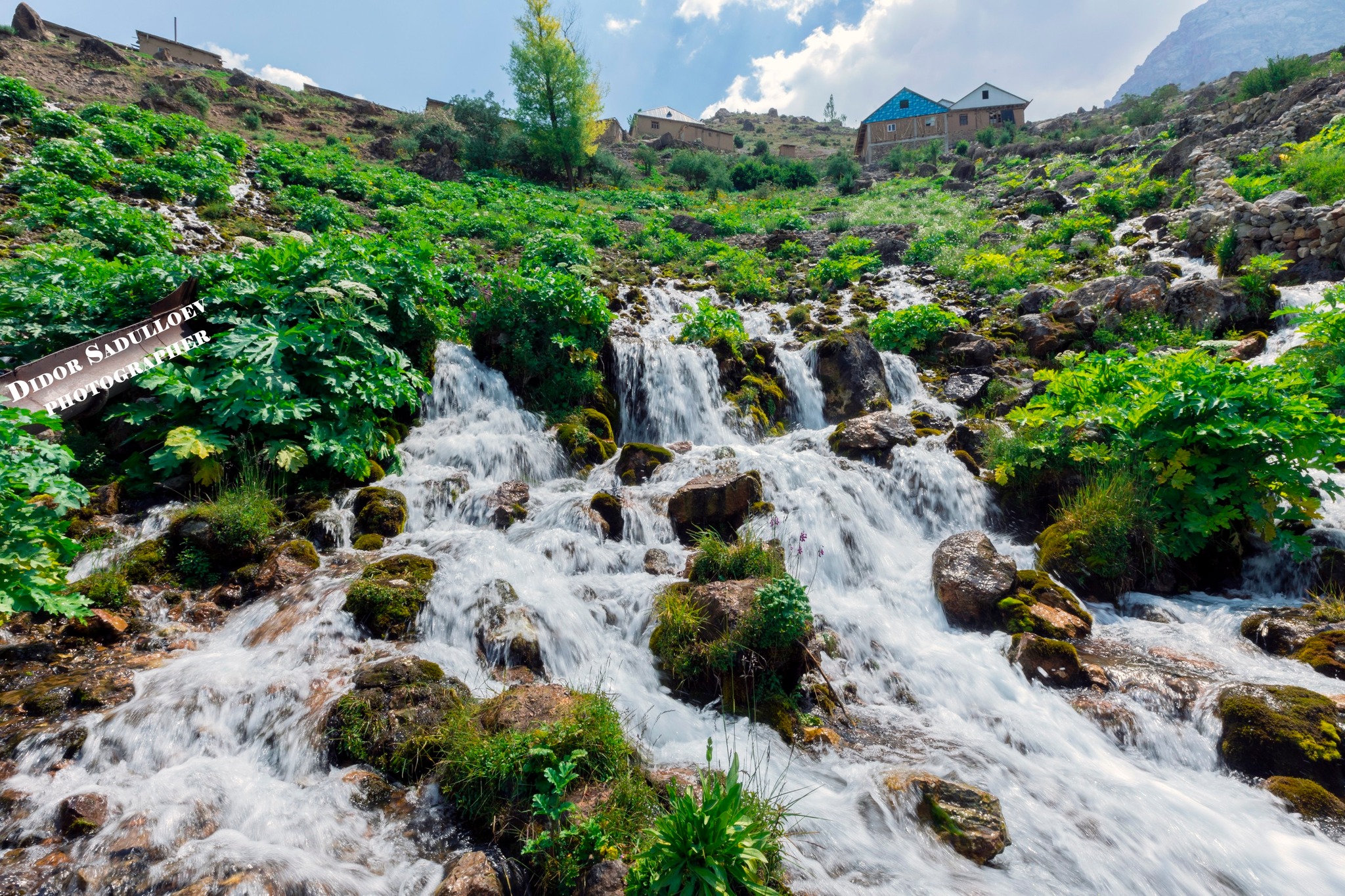 517288988_10033904560071656_2996422189107484066_n