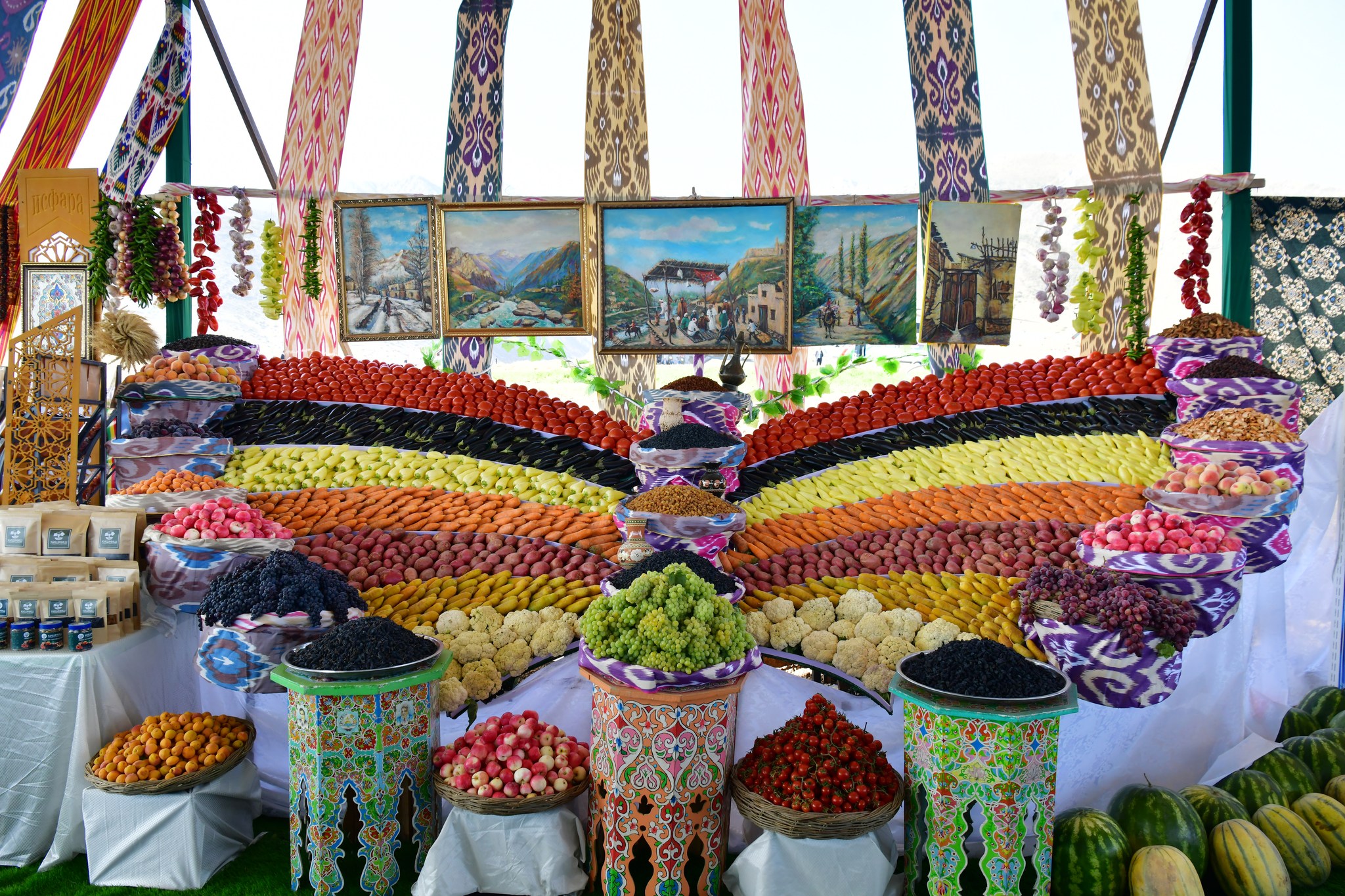 518198420_1193034722867255_2749366905876122967_n