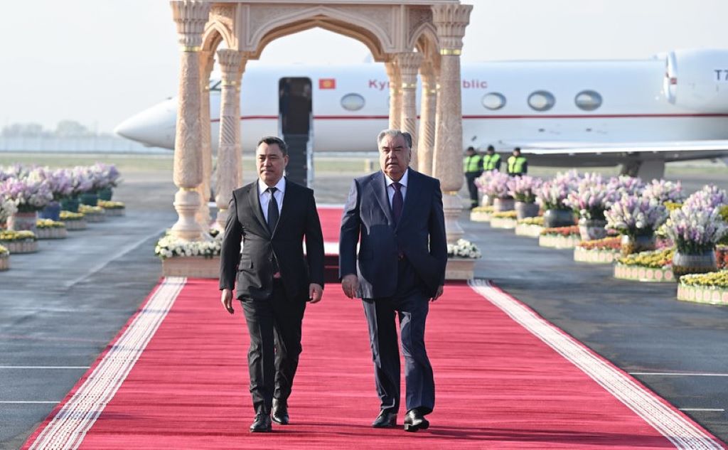 54421298850_3a564f08fc_b