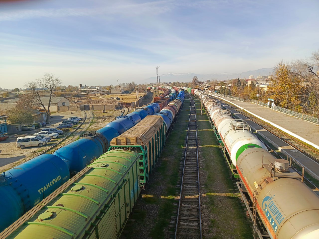 photo_2025-07-01_11-52-45