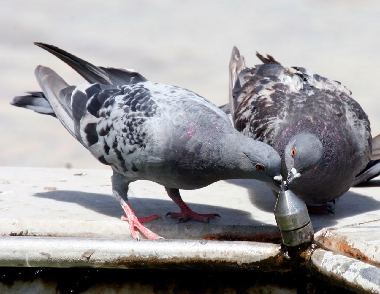 photo_2025-07-07_18-57-51
