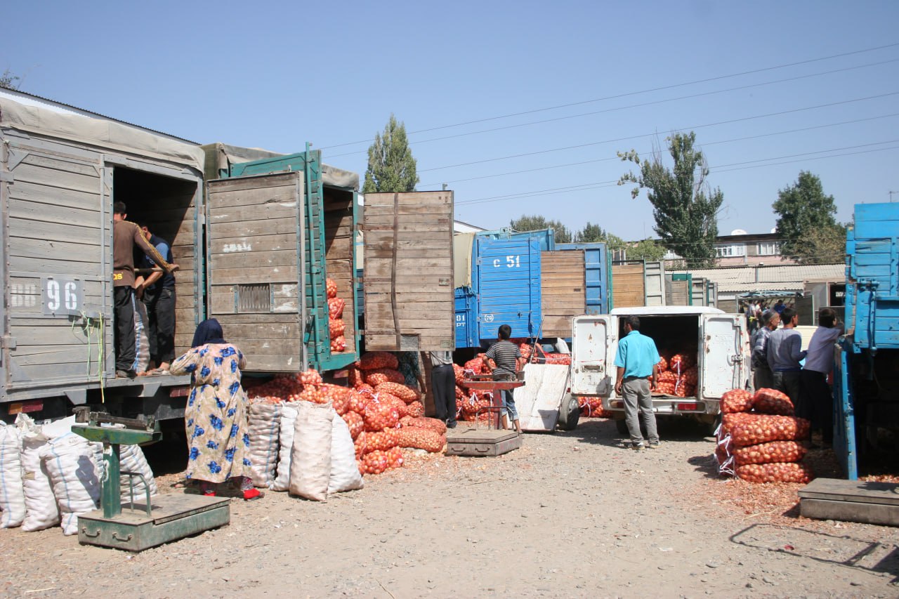 photo_2025-07-18_13-39-03