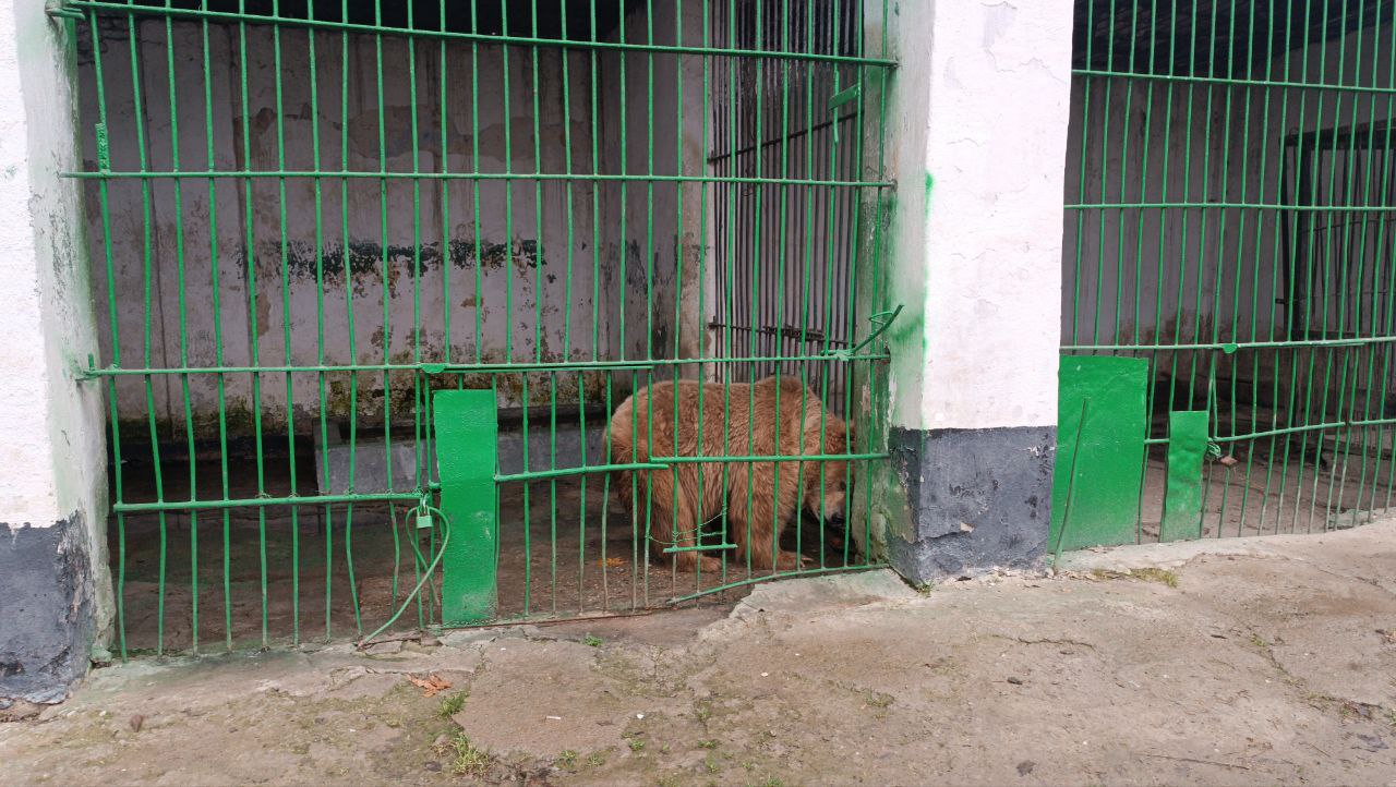 photo_2025-07-25_17-40-06