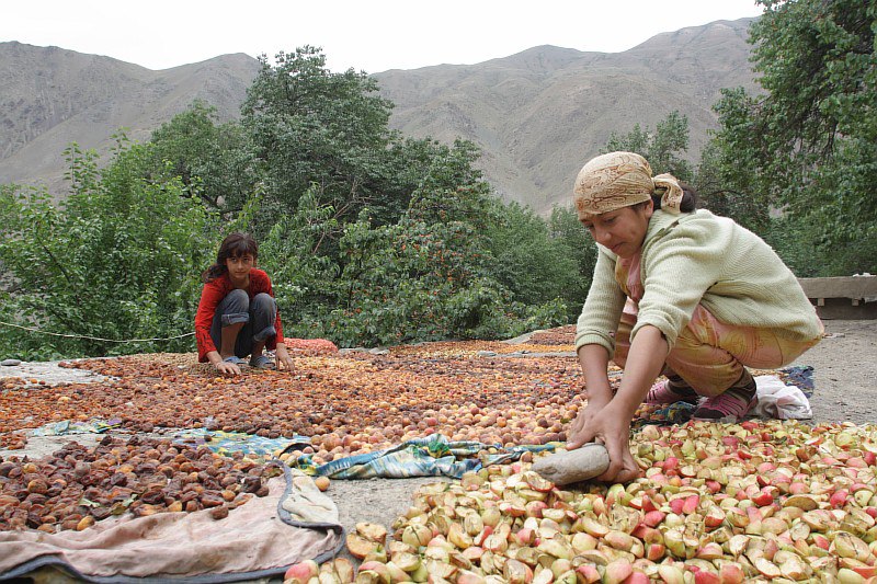 photo_2025-07-29_08-19-43