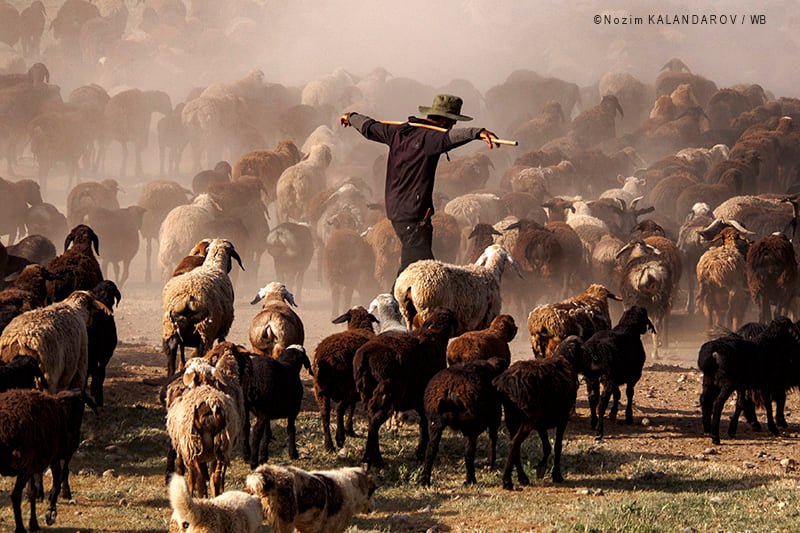 526827647_4041785186071524_3471552448827625684_n