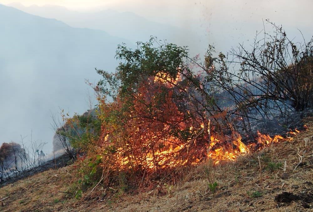 535040796_24484855824482809_5962640640711699692_n