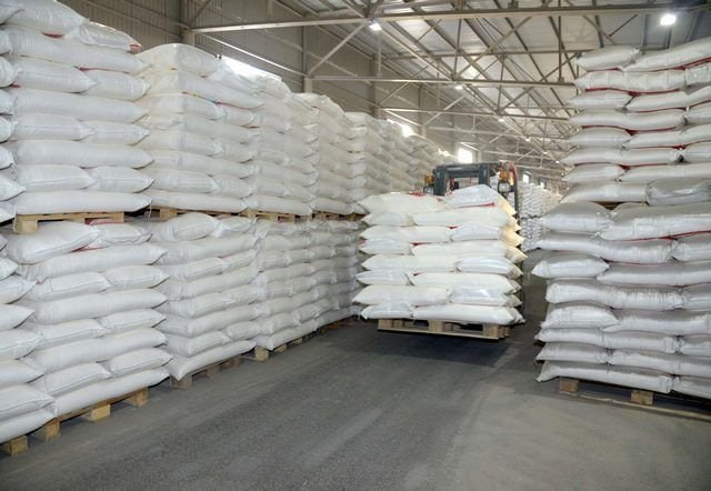 photo_2025-08-05_10-31-04