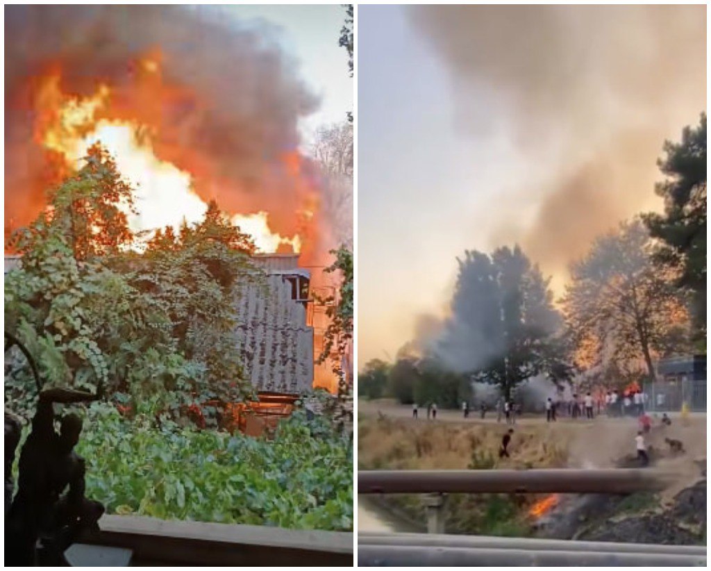 photo_2025-08-11_16-42-33