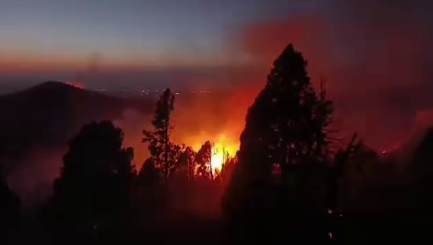 photo_2025-08-15_14-49-25