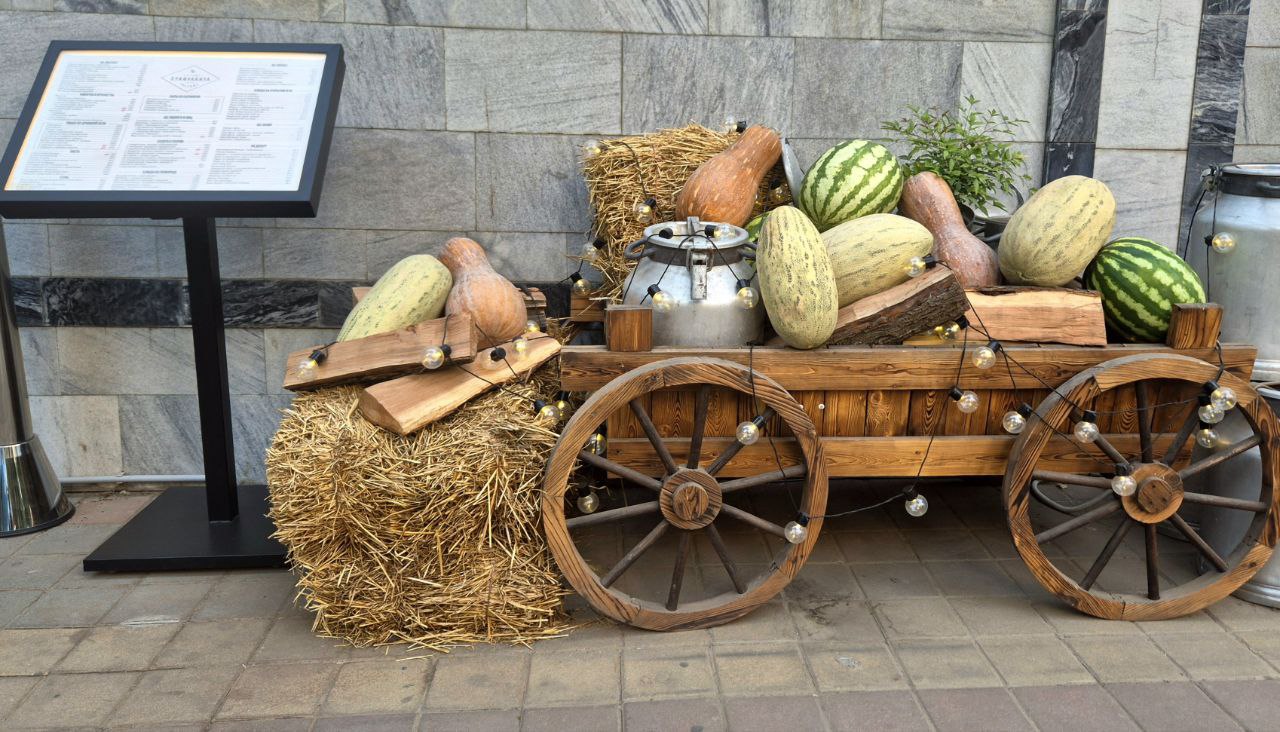 photo_2025-08-19_17-30-49