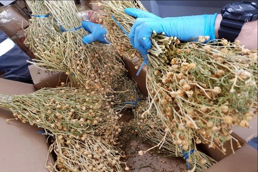 photo_2025-08-22_10-57-51