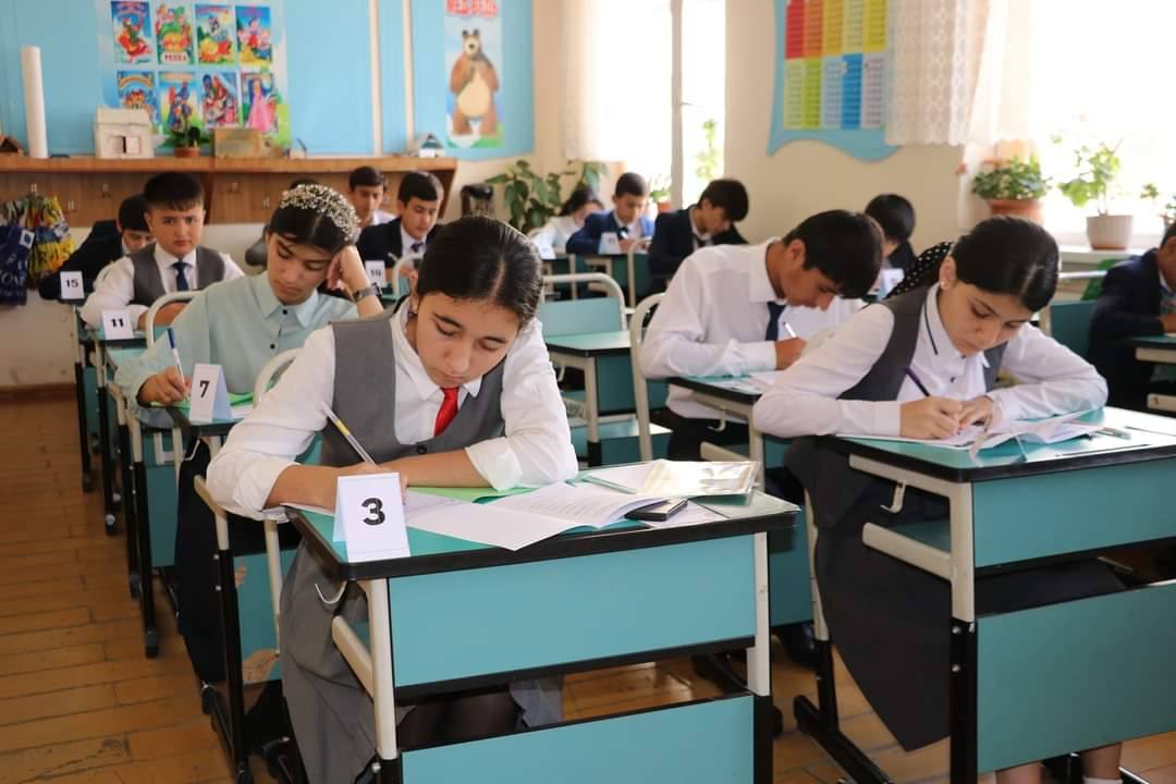 01K1TCMQ47Z4X13CWH2QEAWS2G