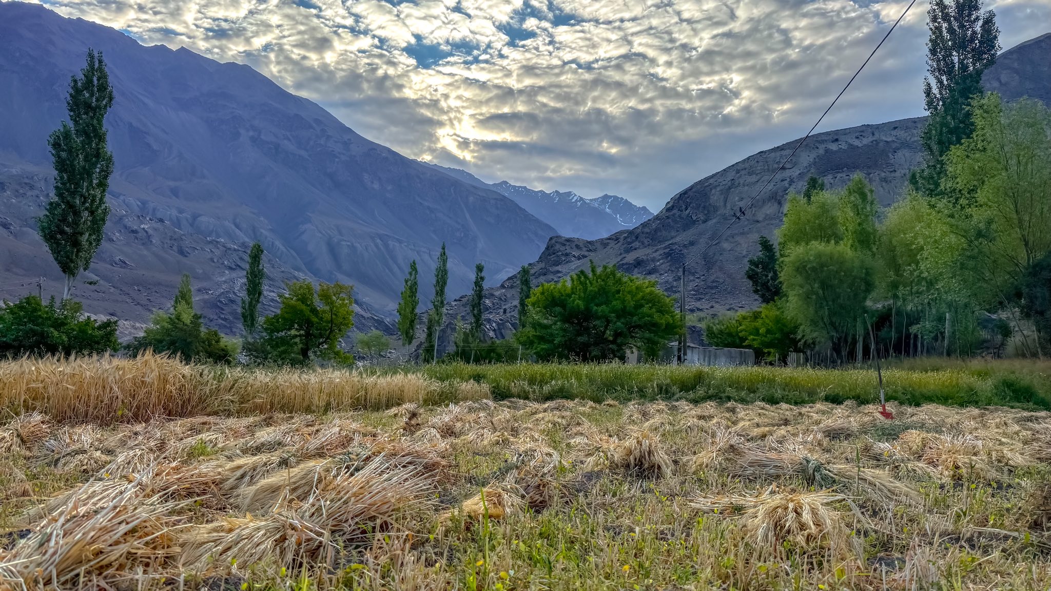 515436512_1753411251983078_3762553095340812023_n