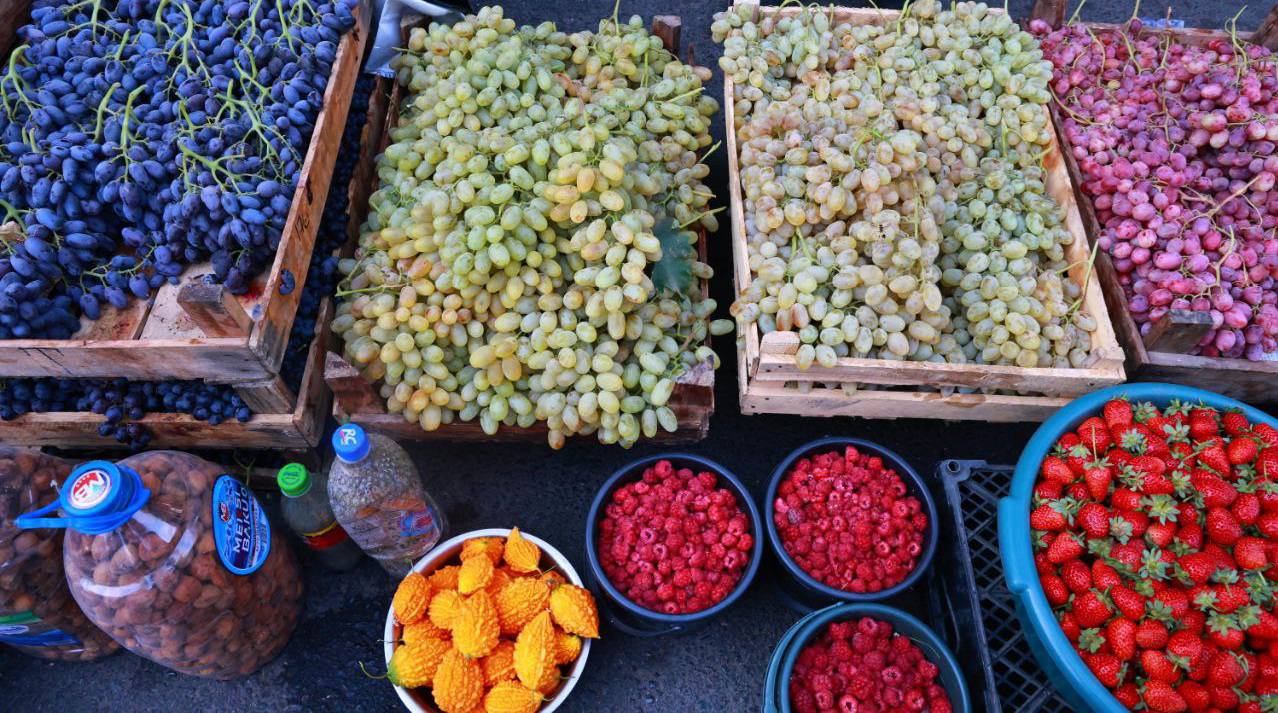 544904712_1429508088932600_2962575283444619577_n