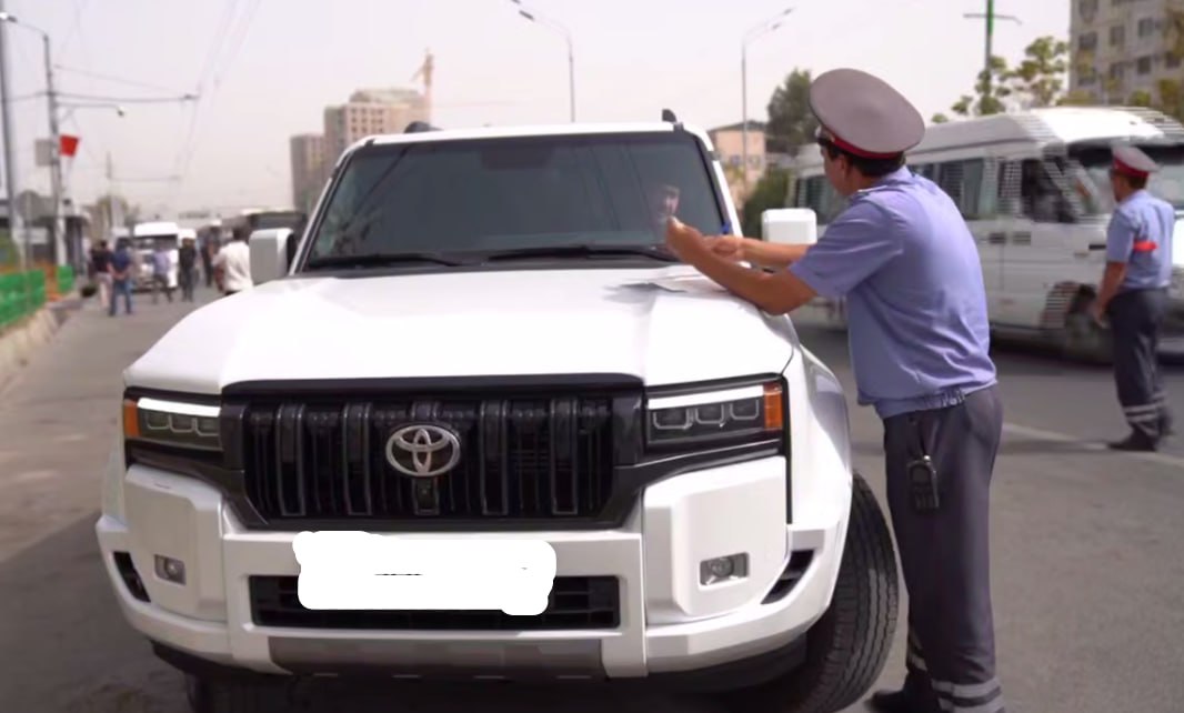 photo_2025-09-04_10-56-52