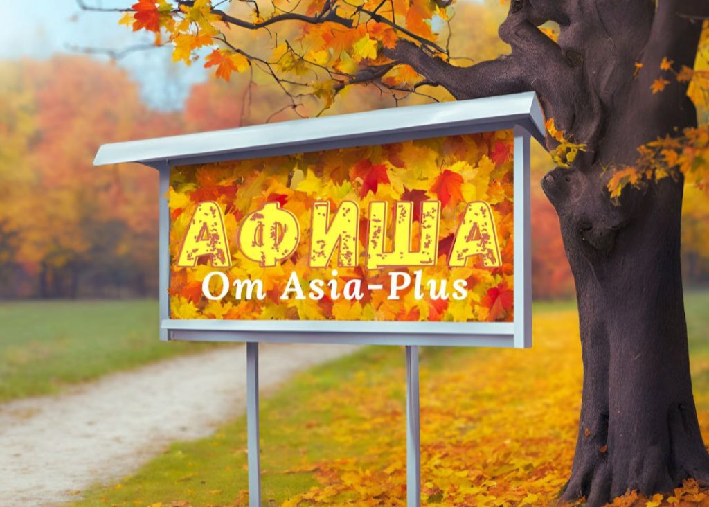 photo_2025-09-04_16-53-30