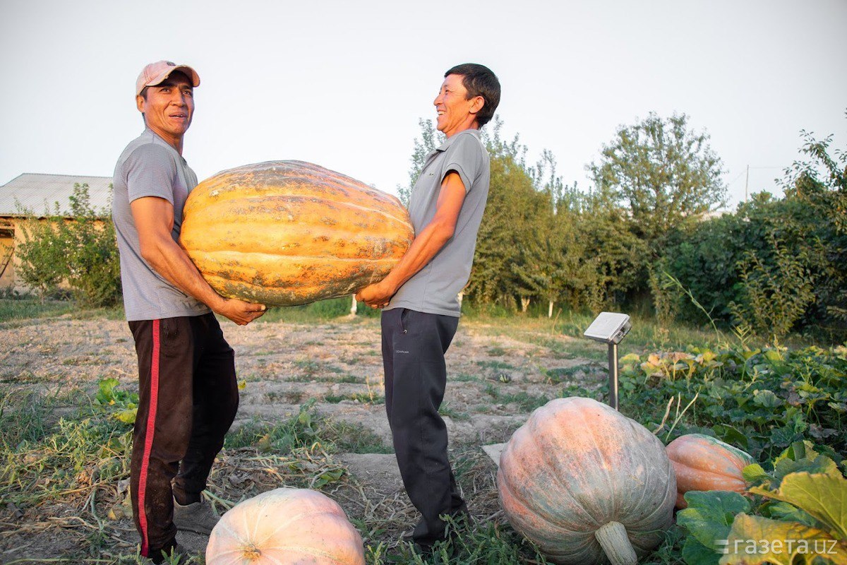 photo_2025-09-10_17-05-53
