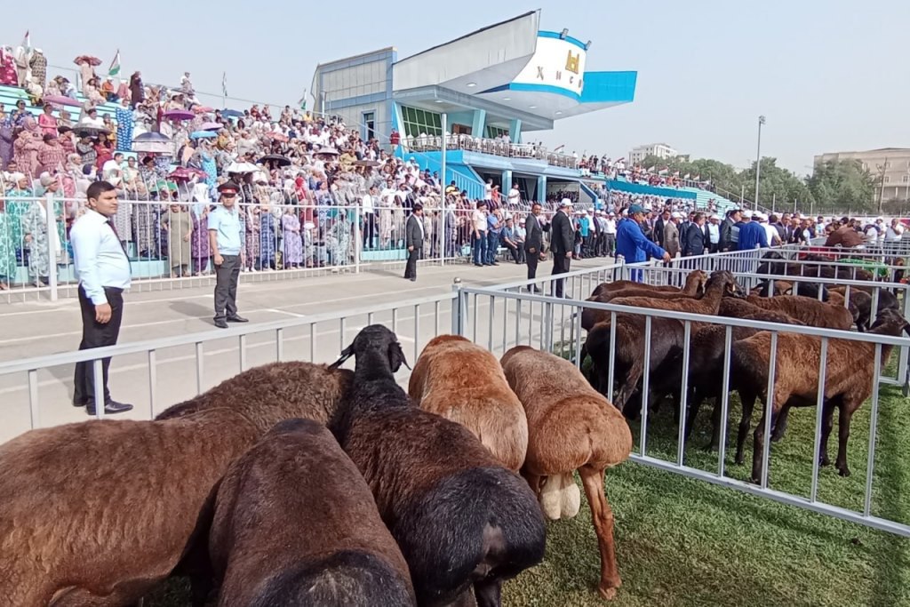 photo_2025-09-15_13-09-52