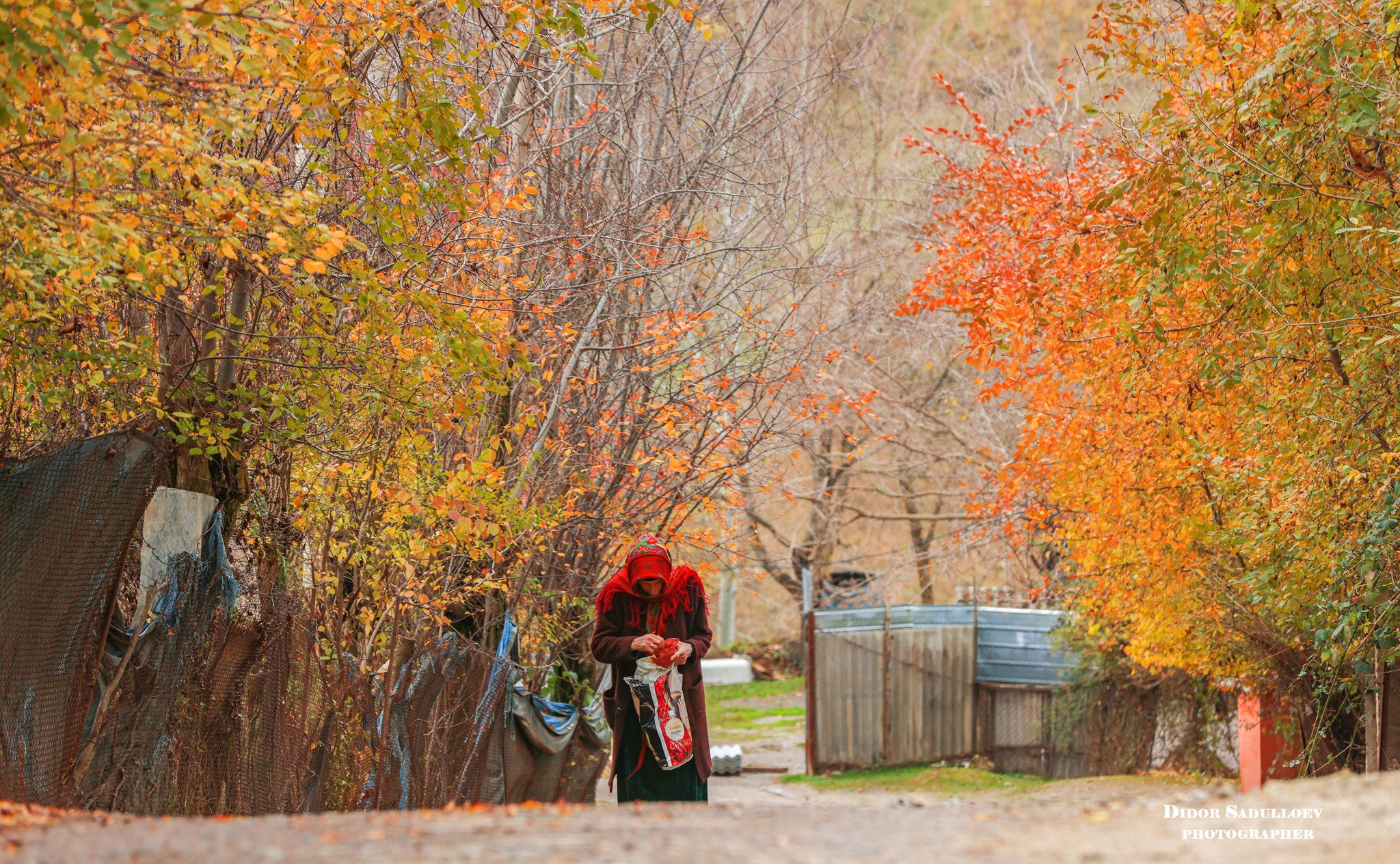 photo_2025-09-21_17-04-57