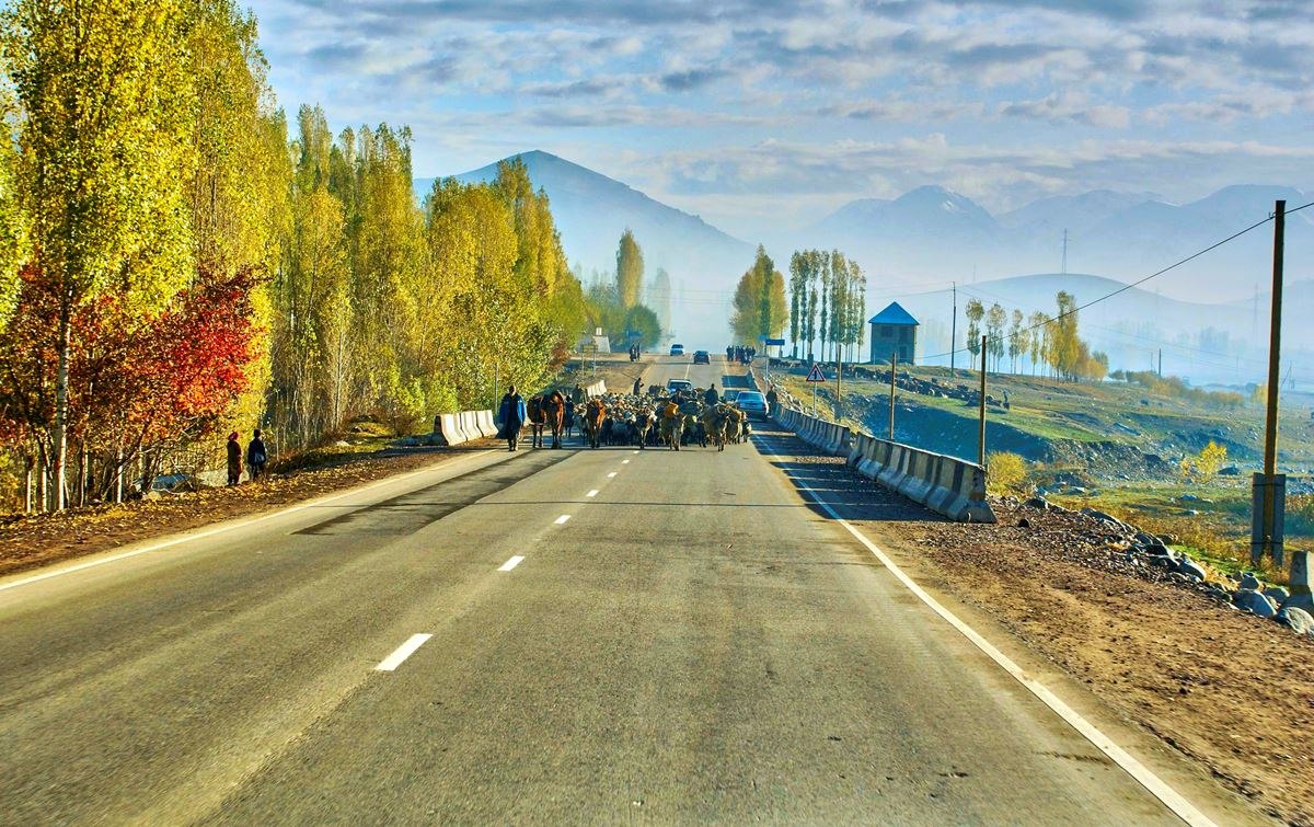 photo_2025-09-24_16-20-03