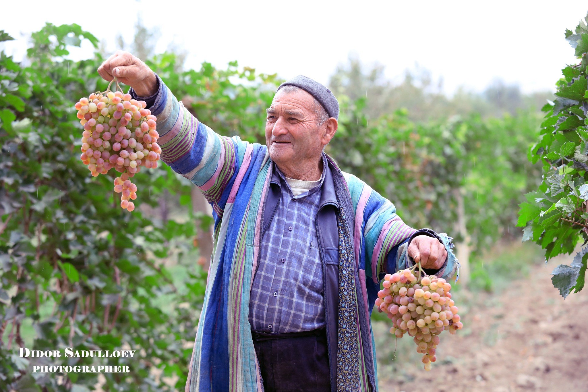 photo_2025-09-29_17-09-29
