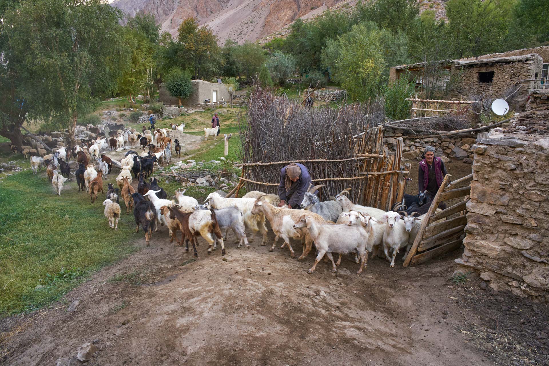 trek-in-jizev-valley