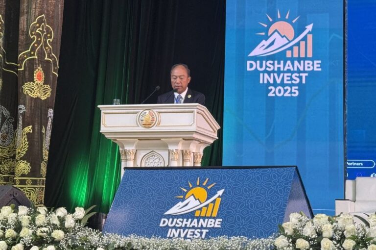 Investment, responsibility, growth: Chinese mining company sets new goals in Tajikistan