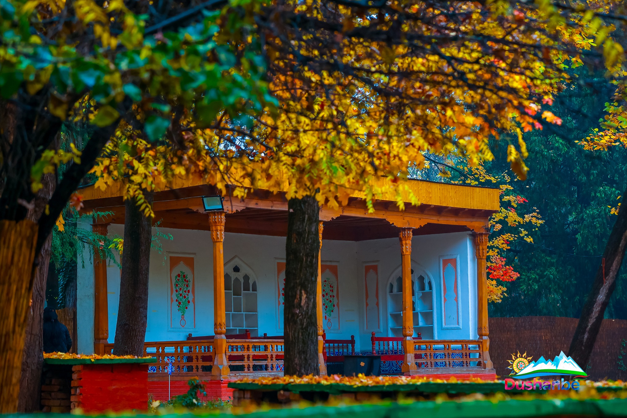 556147947_122199358196347475_1461654183423770283_n