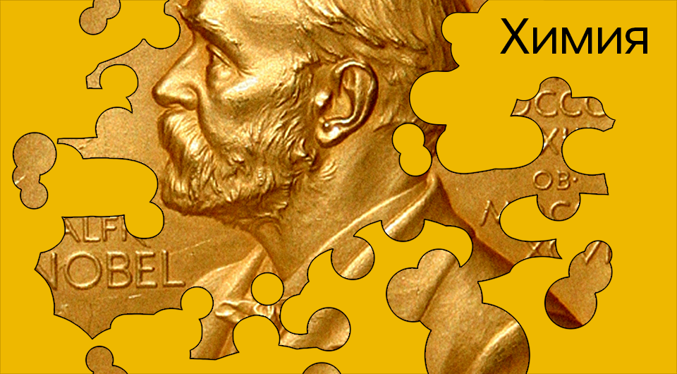 8d916f24f6d00eec7ed8f48f753a4344