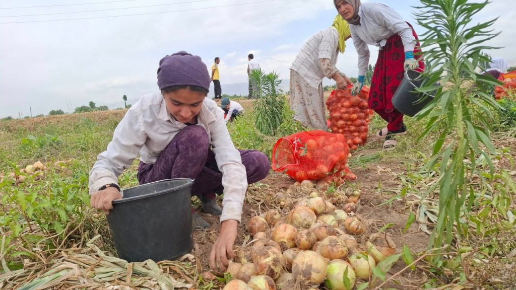 photo_2025-10-01_11-21-31