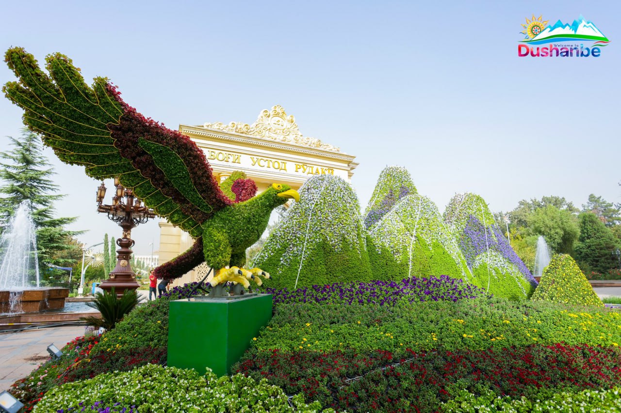 photo_2025-10-01_23-11-58