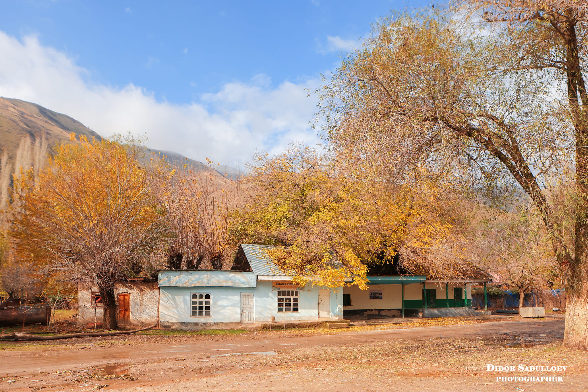 photo_2025-10-17_11-12-40