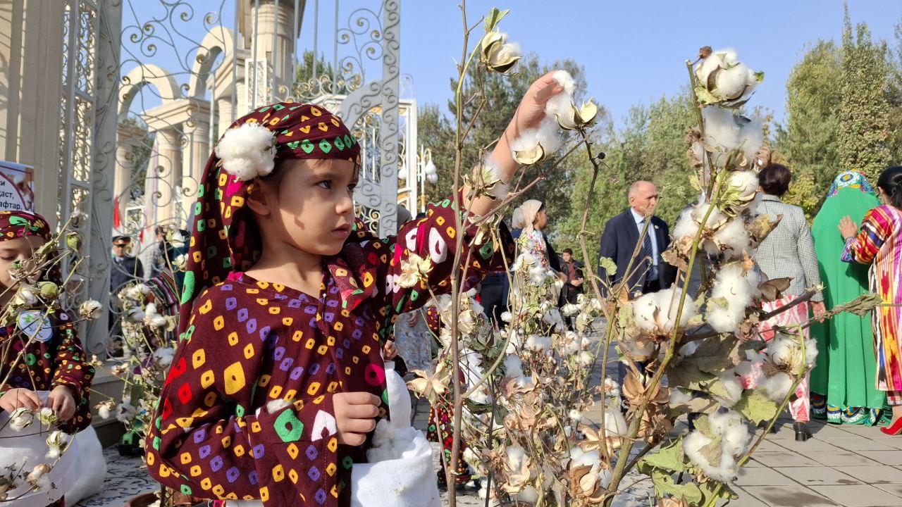 photo_2025-10-19_10-31-15