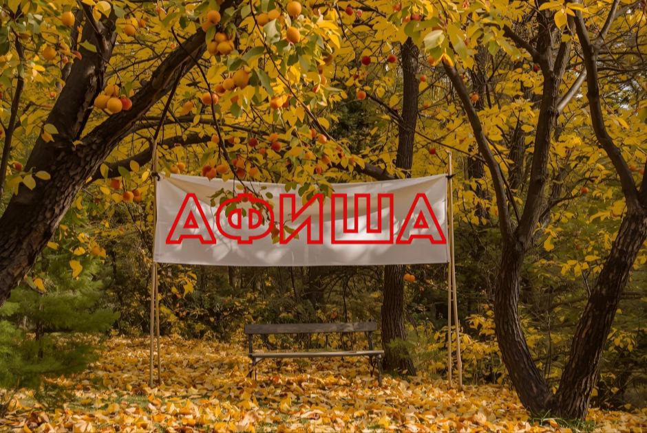 photo_2025-10-23_17-50-45