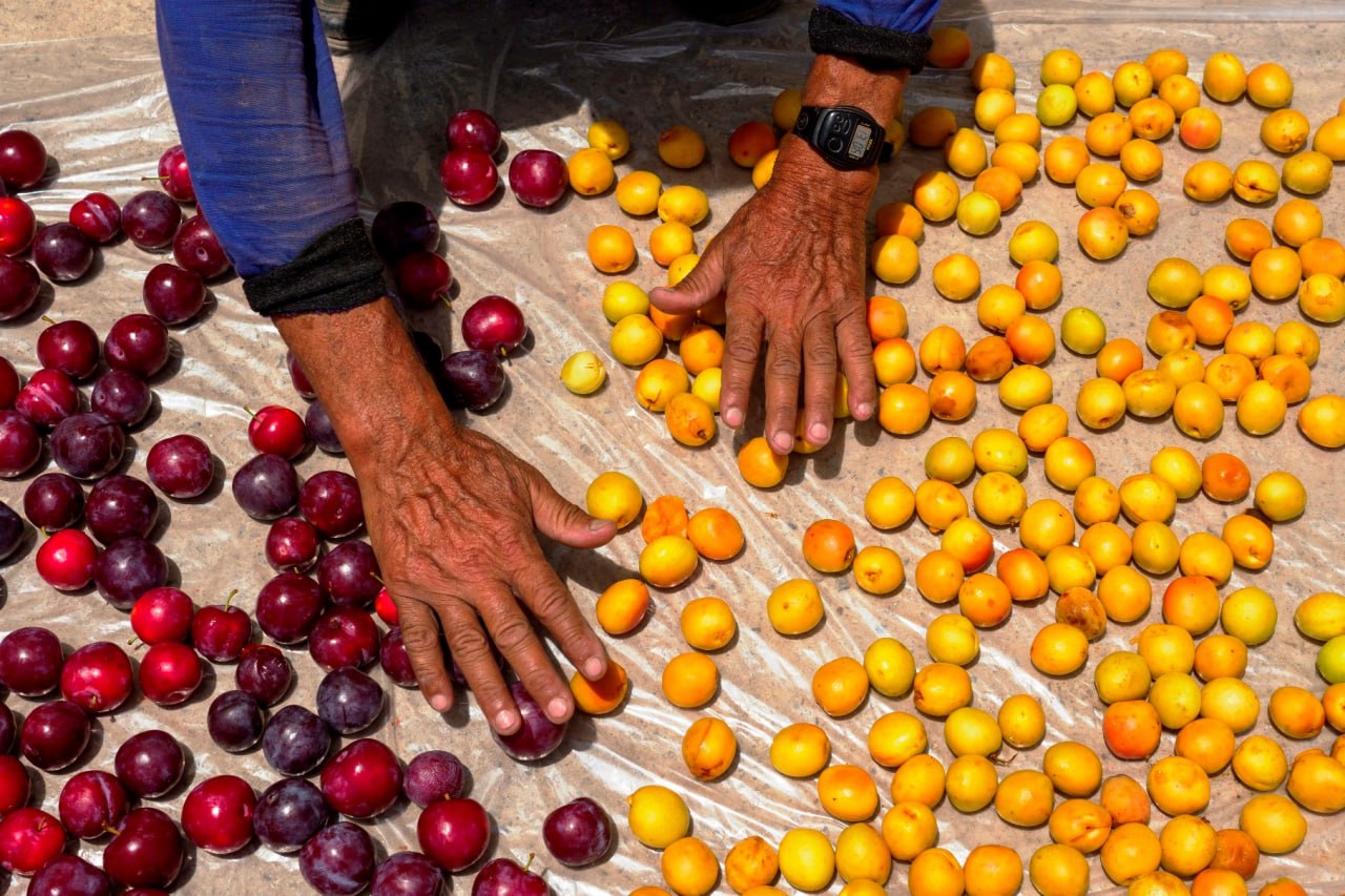 photo_2025-10-31_10-14-34