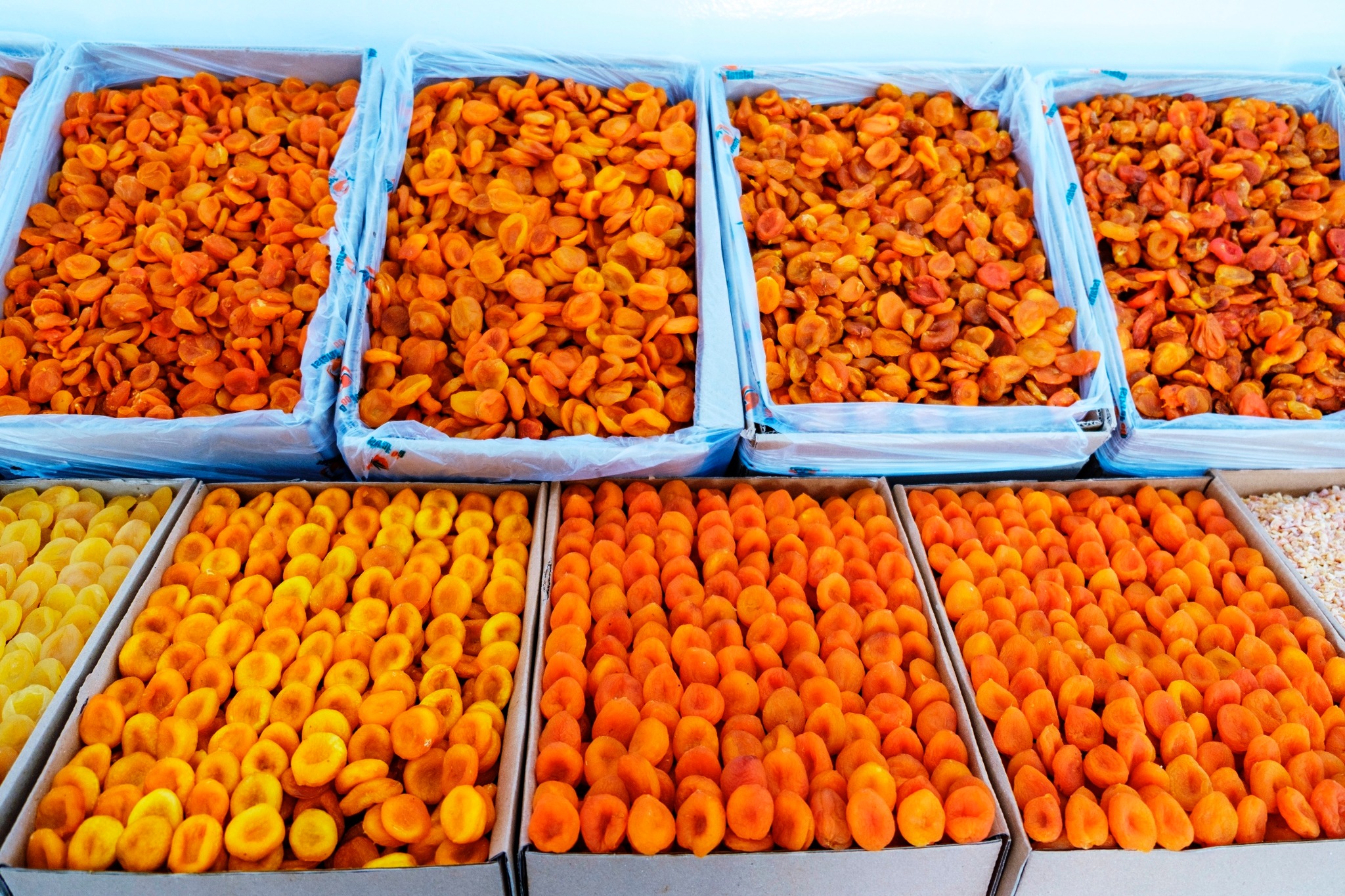 574243951_1212637627563496_7666014898295871584_n