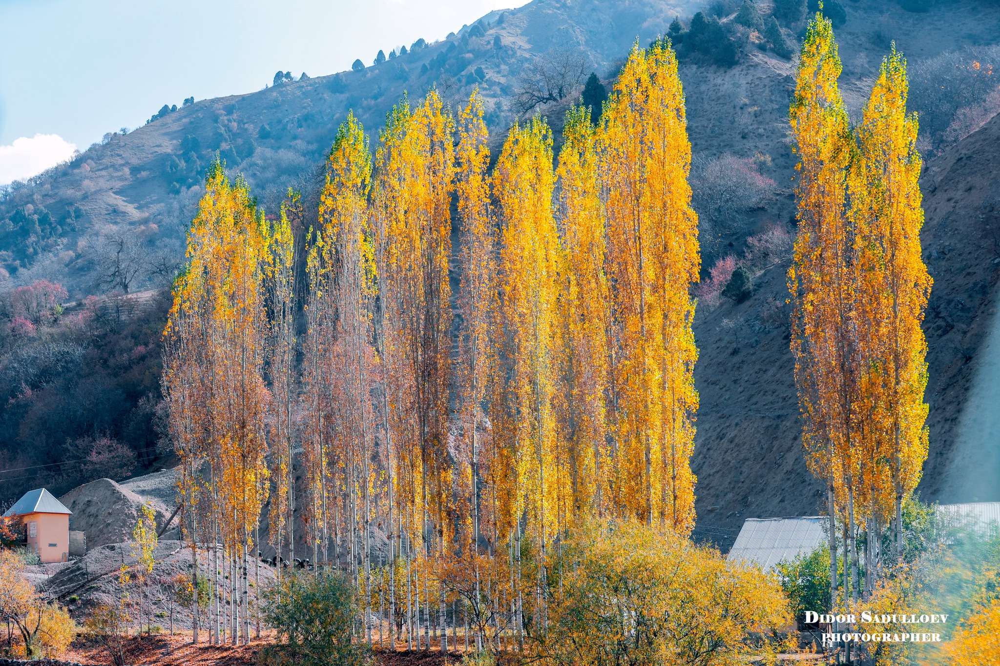 575089880_24783523608016508_1135659273449790883_n