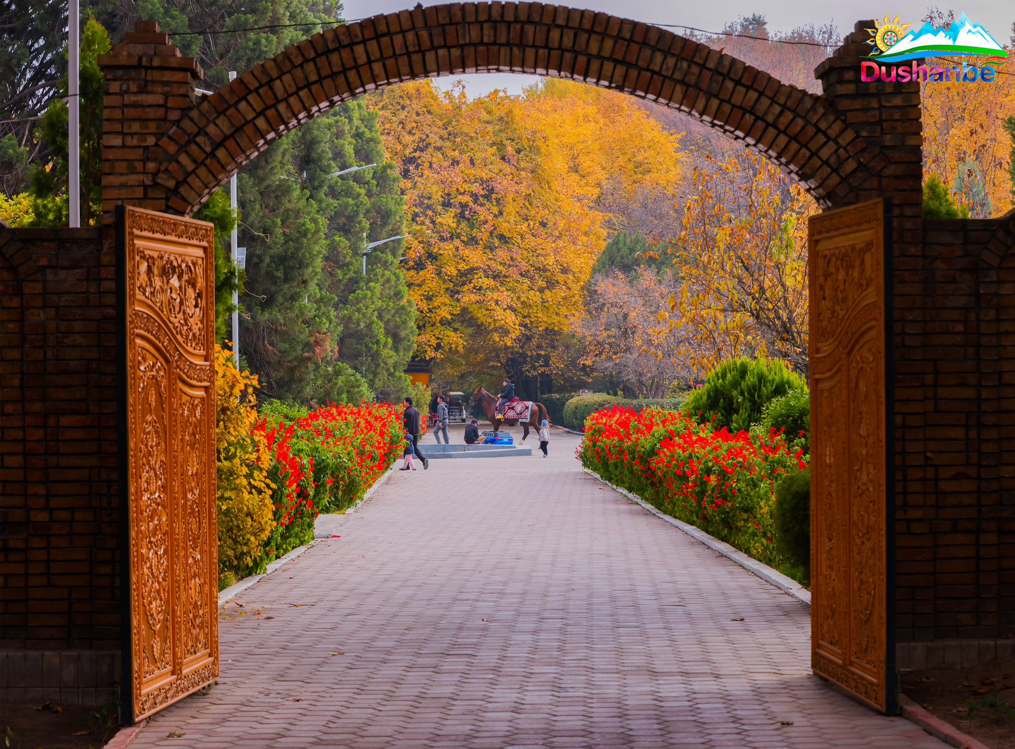 584297148_1166545915610062_6406480154156966076_n