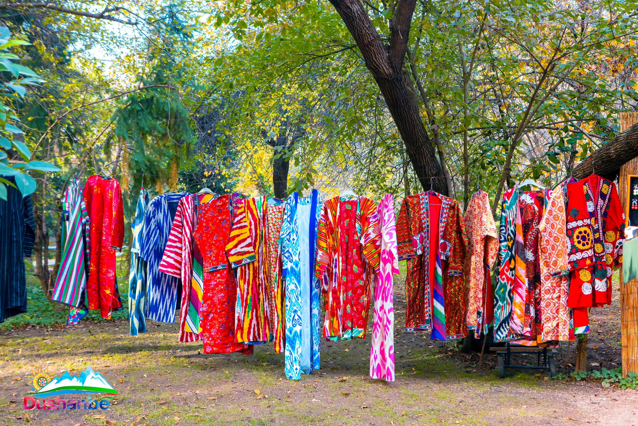 585357947_1166546172276703_1542860486454982044_n