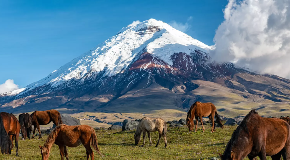 image_2025-11-03_09-51-49 image_2025-11-03_09-51-49