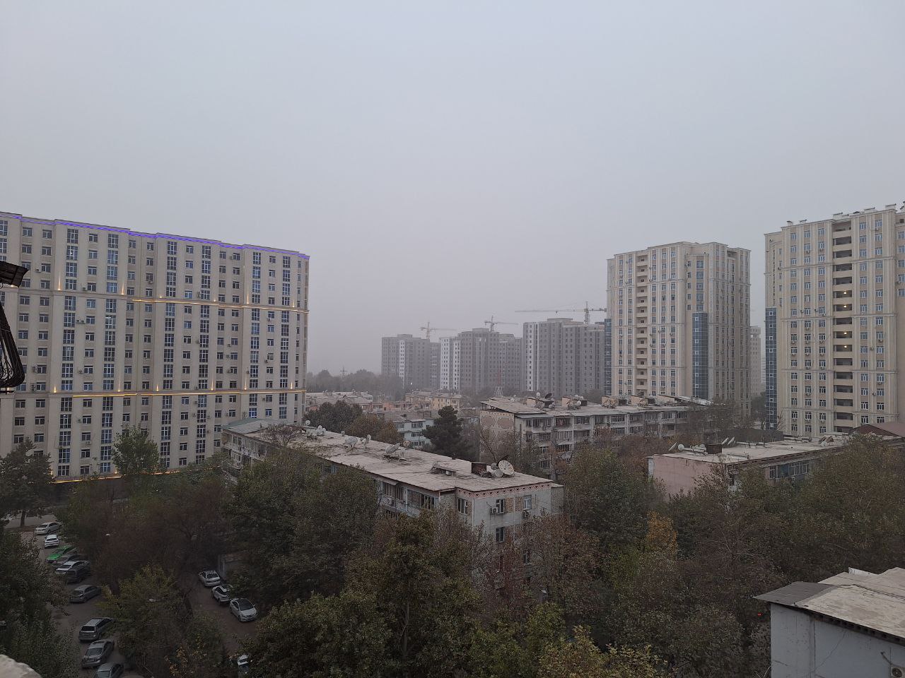 photo_2025-11-01_12-28-03