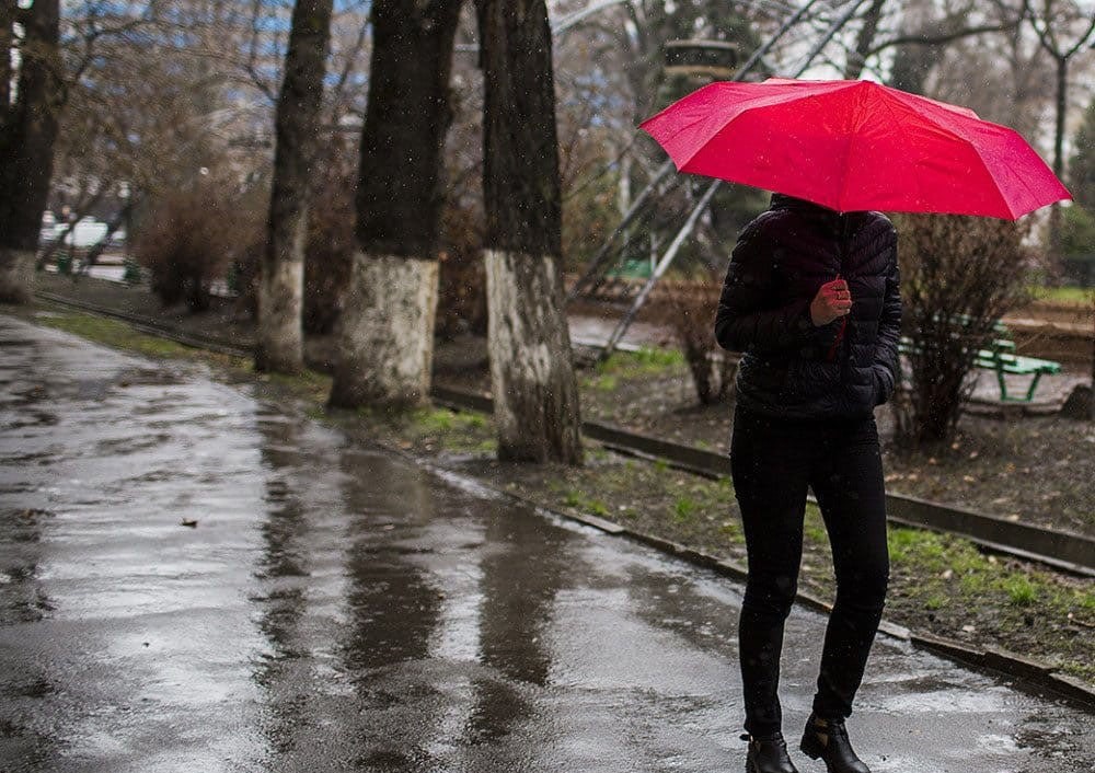 photo_2025-11-03_11-04-11