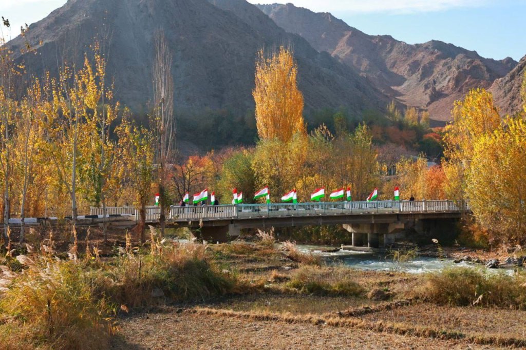 photo_2025-11-03_12-02-40